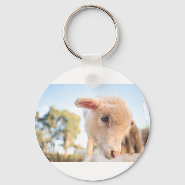 LLAVERO _DSC2491 (Anverso)