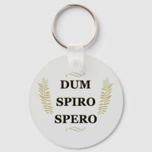 Llavero dum spiro spero, latin phrase