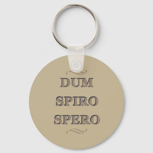 Llavero dum spiro spero, latin phrase