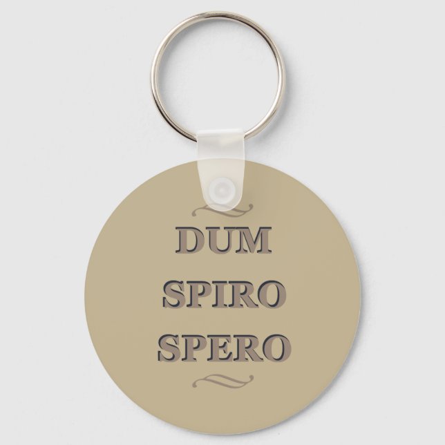 Llavero dum spiro spero, latin phrase (Anverso)