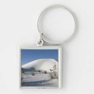 Llavero Dunas transversales y Yucca Soaptree