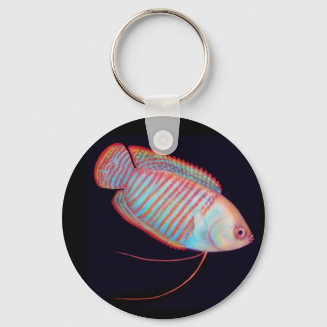 Llavero Dwarf Gourami Tropical Fish Keychain (Anverso)