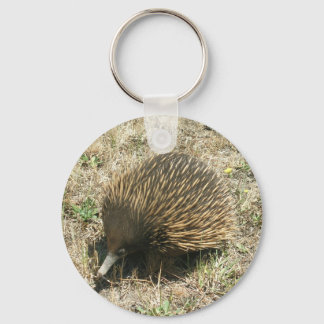 Llavero Echidna