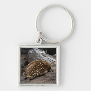 Llavero Echidna Australia Cute Animal Anteater