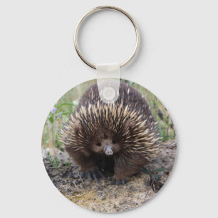 Llavero Echidna lindo de Australia
