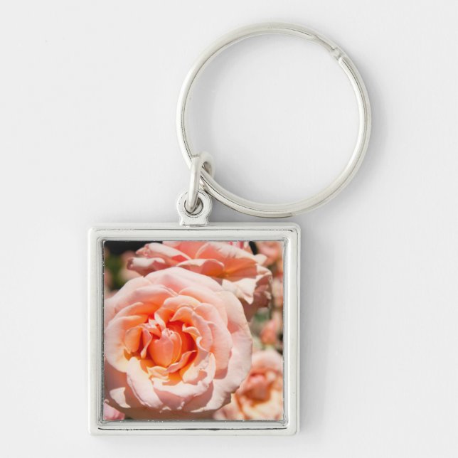 Llavero EE.UU., Alabama, Theodore Near Mobile 5 (Frente)