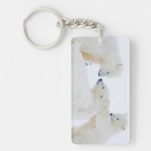 Llavero EE.UU., Alaska, 1002 Llanura costera del Ártico