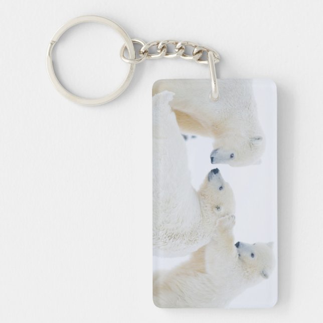 Llavero EE.UU., Alaska, 1002 Llanura costera del Ártico (Frente)