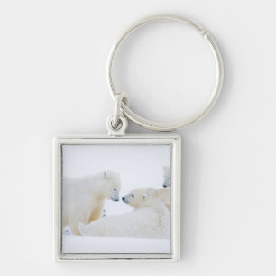 Llavero EE.UU., Alaska, 1002 Llanura costera del Ártico