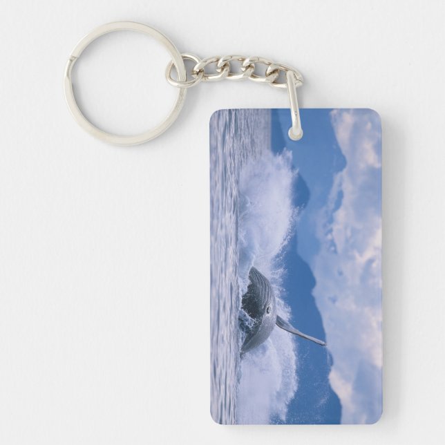 Llavero EE.UU., Alaska, Bosque Nacional Tongass, Humpback (Frente)