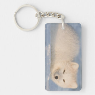 Llavero EE. UU., Alaska, Fox