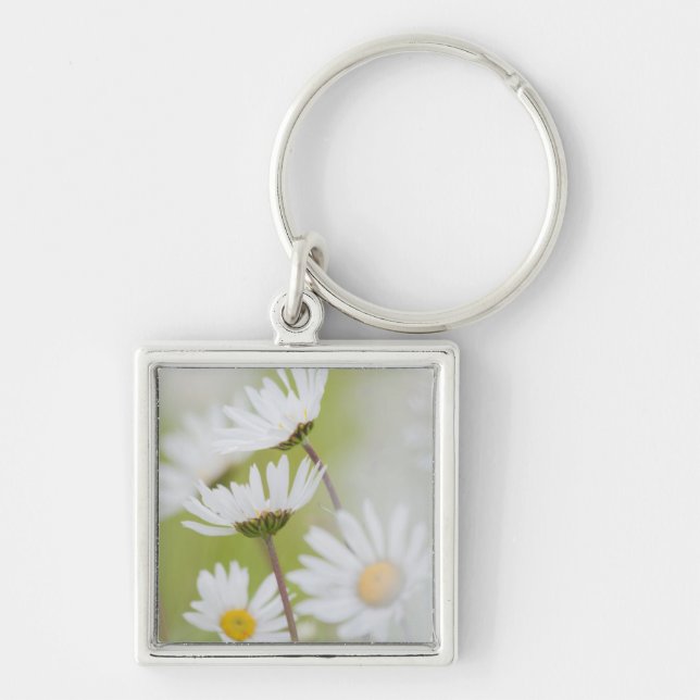 Llavero EE.UU., Alaska, Parque Nacional Glacier Bay (Frente)