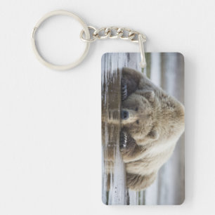 Llavero EE. UU., Alaska, Parque Nacional Katmai, Oso Pardo