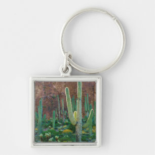 Llavero EE. UU., Arizona. Campo de cactus saguaro junto a 