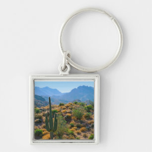 Llavero EE. UU., Arizona. Desert View