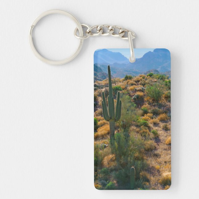 Llavero EE. UU., Arizona. Desert View (Frente)