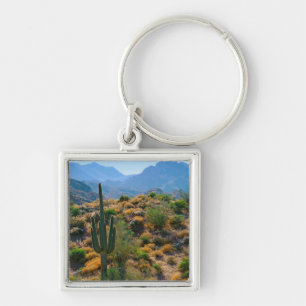 Llavero EE. UU., Arizona. Desert View