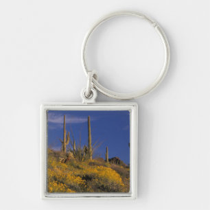 Llavero EE. UU., Arizona, Organ Pipe Cactus National 2