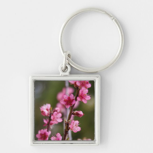 Llavero EE.UU., California. Florecer Rosa En Un Árbol (Frente)