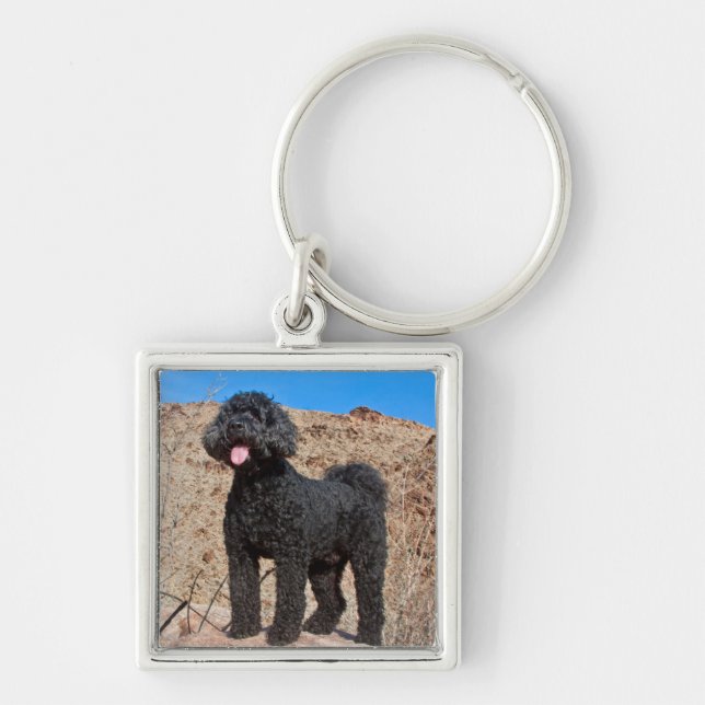 Llavero EE. UU., California. Labradoodle de pie (Frente)