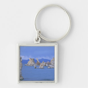 Llavero EE. UU., California, lago Mono