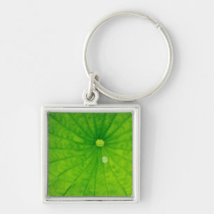 Llavero EE. UU.; Carolina del Norte; Hoja de loto con gota