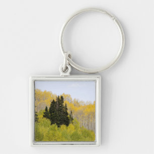 Llavero EE. UU., Colorado, Bosque Nacional Gunnison, a lo 