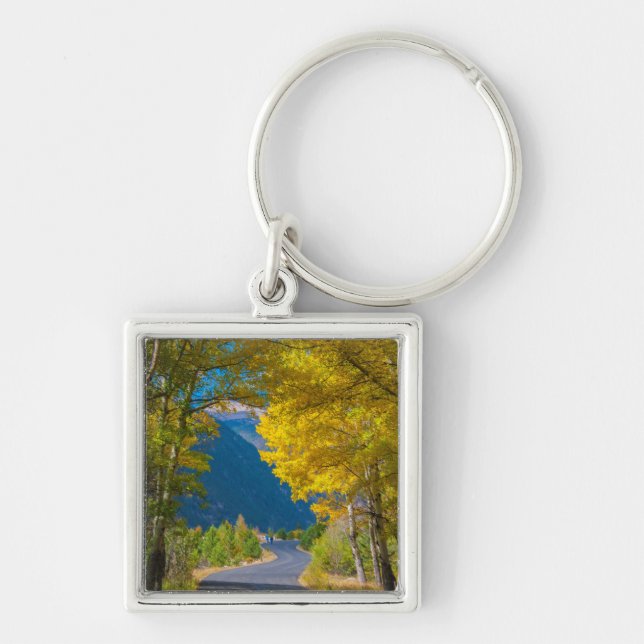 Llavero EE.UU., Colorado. Carretera flanqueada por ápendos (Frente)