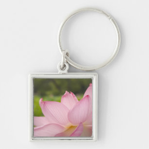 Llavero EE.UU., DC, Washington, Kenilworth Aquatic 2