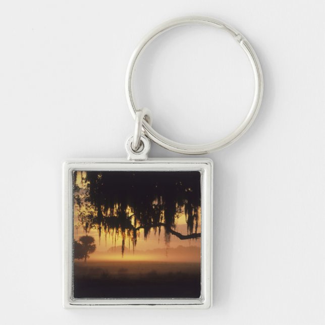 Llavero EE.UU., Florida, Lago Kissimmee. Silueta de sol (Frente)