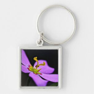 Llavero EE.UU., Florida, Reserva Nacional Big Cypress