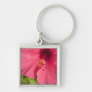 Llavero EE. UU., Hawái, Kauai, Hibisco