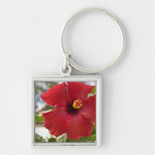 Llavero EE. UU., Hawái, Oahu. El Hibisco es el