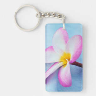 Llavero EE. UU., Hawái, Oahu, Flores de plumeria en flor 2