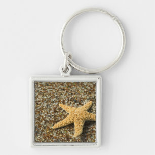 Llavero EE. UU., HI, Kauai, Glass Beach con estrella de ma