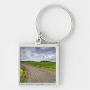Llavero EE. UU., Idaho, condado de Idaho, campo de canola