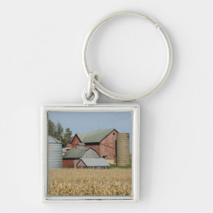 Llavero EE. UU., IOWA, Froelich: Granja antigua