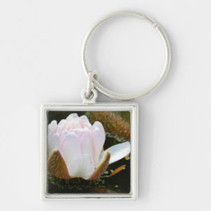 Llavero EE. UU., Kansas, Flor de lirio de agua rosa claro