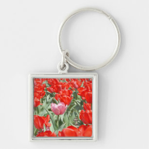 Llavero EE. UU., Kansas, Tulipanes rojos con un tulipán ro