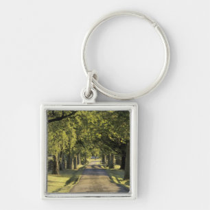 Llavero EE.UU., Kentucky, Lexington. Carretera arbolada,