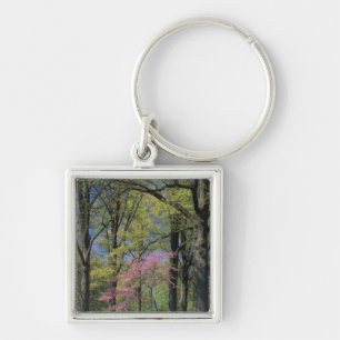 Llavero EE. UU., Kentucky, Louisville. Redbud Oriental