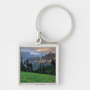 Llavero EE. UU., Montana, Parque Nacional Glaciar, Logan P