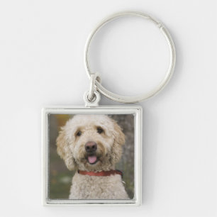 Llavero EE.UU., Nueva Inglaterra, Massachusetts, Lectura,