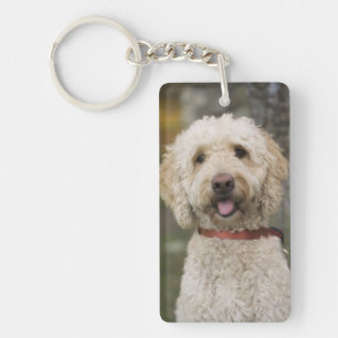 Llavero EE.UU., Nueva Inglaterra, Massachusetts, Lectura,