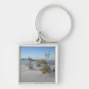 Llavero EE. UU., Nuevo México, White Sands National 2