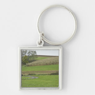 Llavero EE. UU., Ohio nororiental. Carruaje Amish en granj