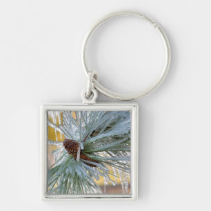 Llavero EE.UU., Oregón, Bend. Las agujas de pino Ponderos