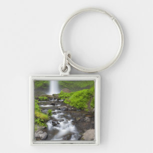 Llavero EE.UU., Oregón, desfiladero del río Columbia, La