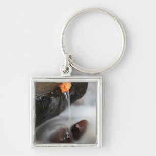 Llavero EE.UU., Oregón, desfiladero del río Columbia, Ta