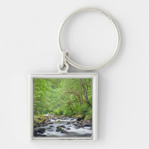 Llavero EE.UU., Oregón, desfiladero del río Columbia, Ta